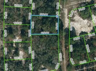 244 Blue Horizon Dr #14, Lake Placid, FL 33852