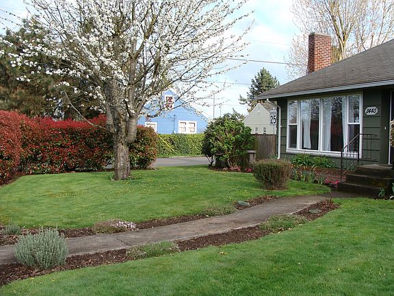 Large front yard