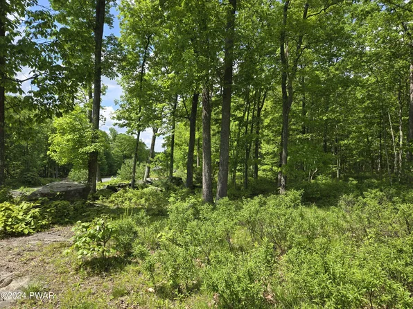 Blue Heron Way, Hawley, PA 18428