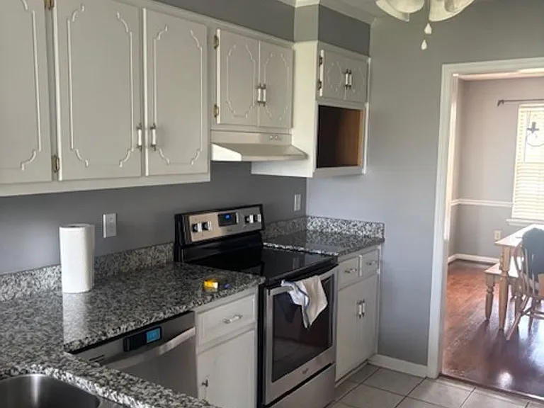 4621 Shadow Moss Ct — Photo 10