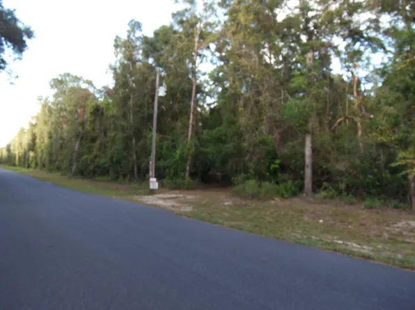 15091 NW 81st Ave, Trenton, FL 32693