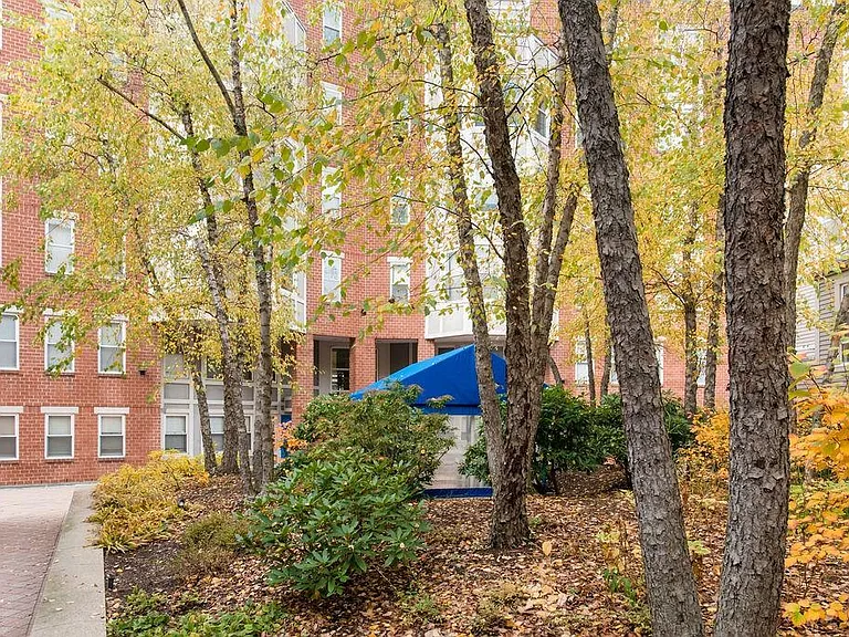 20 Chestnut St #402 — Photo 9