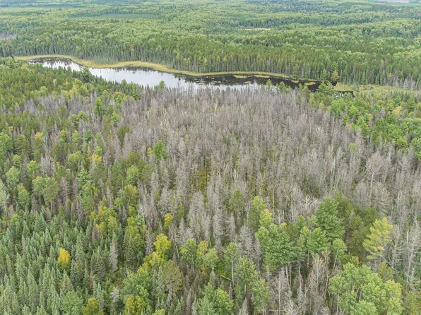 XXXTBD Moose Loop, Ely, MN 55731
