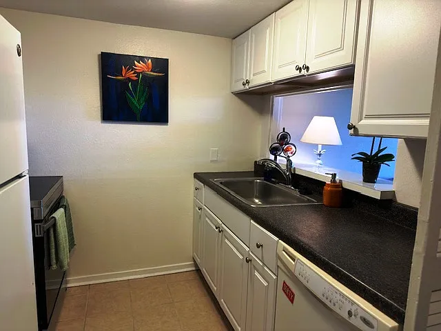 Fully stocked kitchen including dishwasher, fridge and microwave.