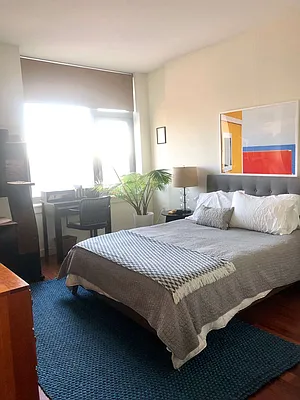 Rented by NY Living Solutions | media 18