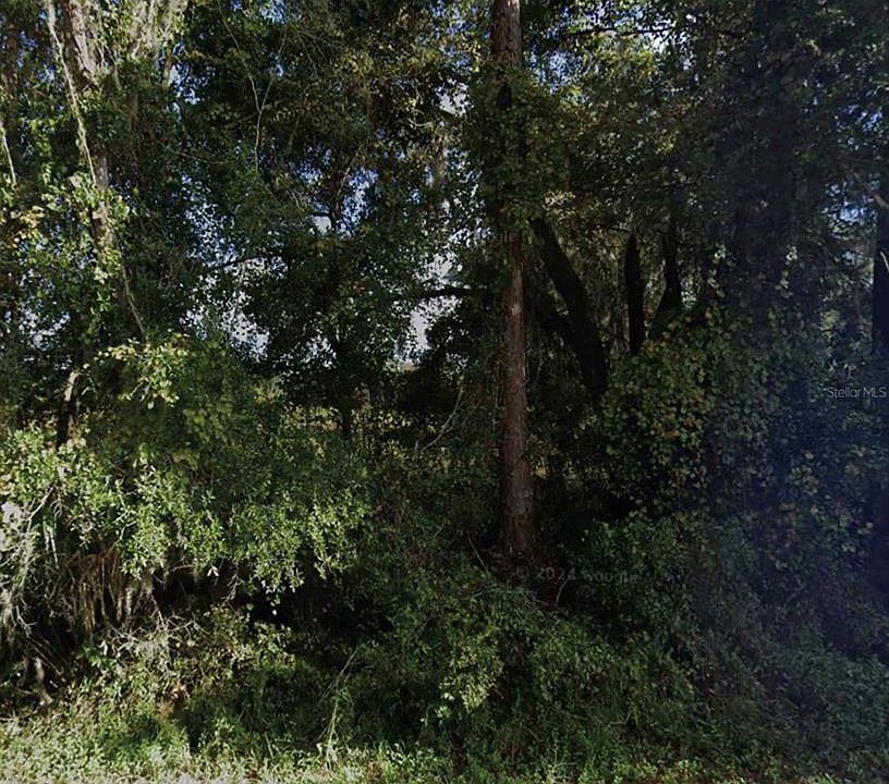 1st image of NE 234th Place Rd Lot 19-20