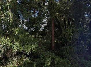NE 234th Place Rd LOT 19-20, Fort Mc Coy, FL 32134