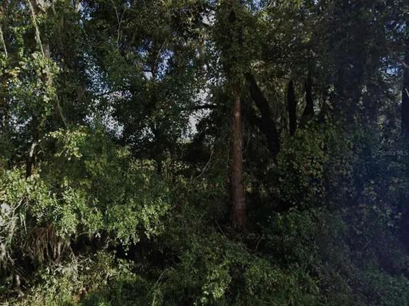 NE 234th Place Rd Lot 19-20, Fort Mc Coy, FL 32134
