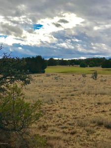 15530 N Hatfield Dr, Prescott, AZ, 86305