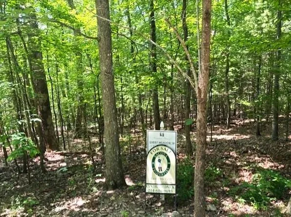 Sm 19 Shepherds Trl #Hot, Hot Springs, VA 24445