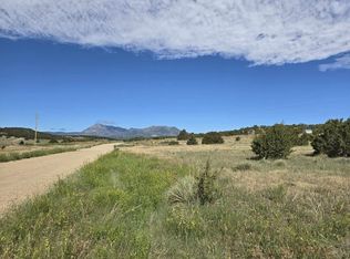 131 Navajo Ranch Resorts #2, Walsenburg, CO 81089