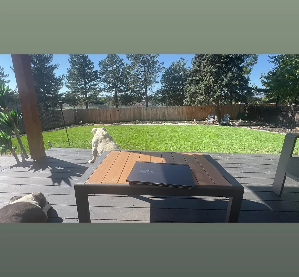 5 bed, 2246 sqft, $1,650 — Photo 3