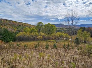 Shaver Holw, Andes, NY 13731