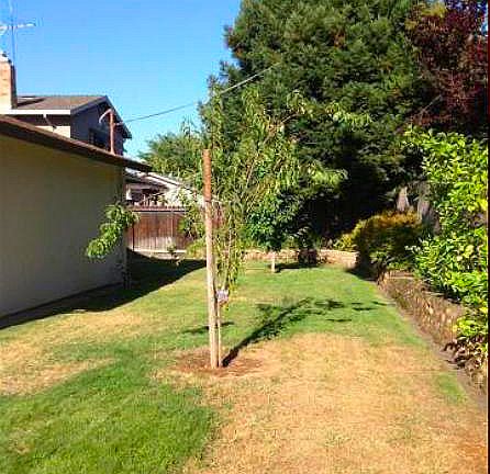 5th image of 9204 Starina Way