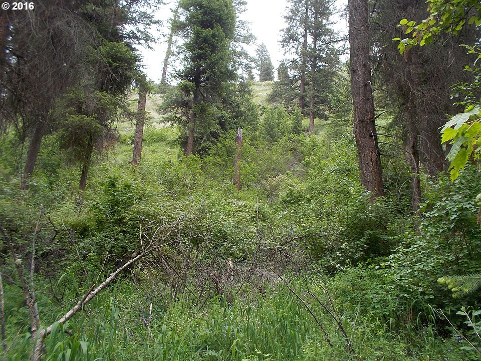 2nd image of 0 Grizzly Way