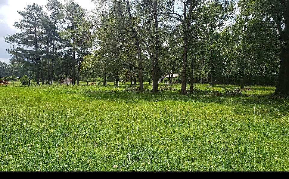 2nd image of Dalrymple Rd