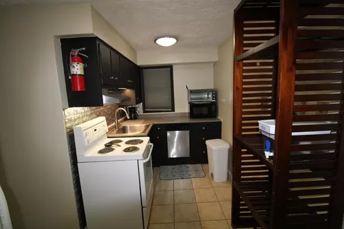 Kitchen with Upgraded Appliances Range and Stainless Dish washer and Microwave - 218 Alexander Ave #3