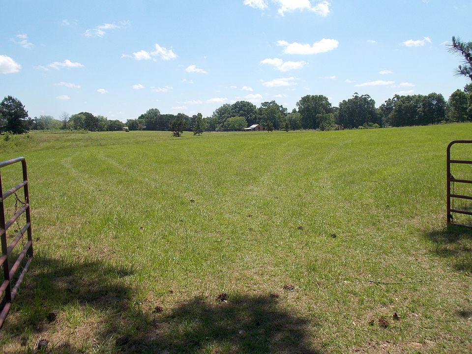 back looking to front