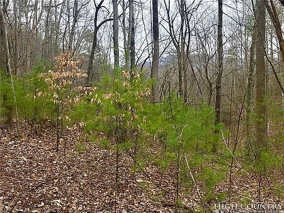 2nd image of 397 Banjo Ridge Rd
