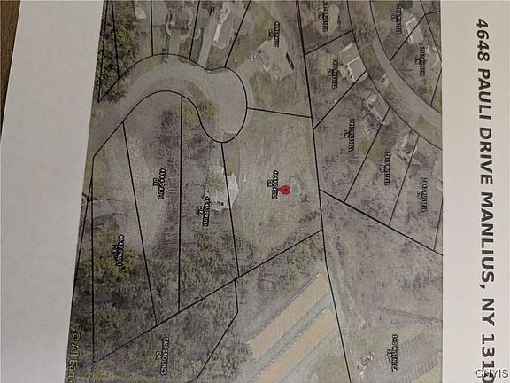5th image of 4648 Pauli Dr