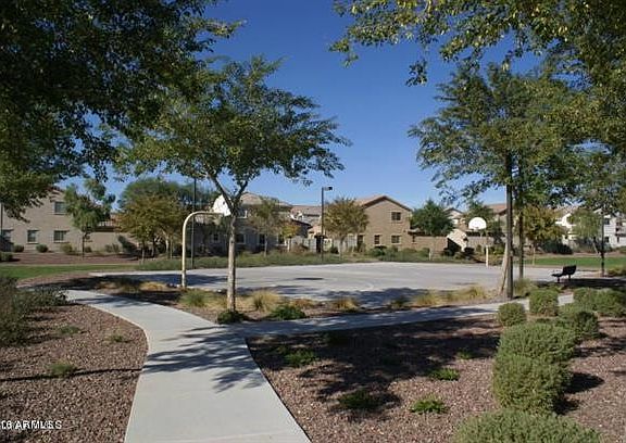 Basket Ball Court