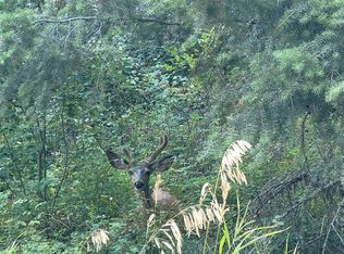 145 E Knob Hill Rd, Republic, WA 99166