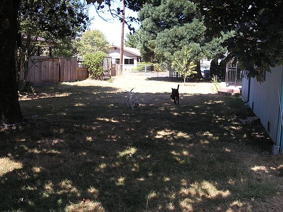 Yard (3/4 acre)