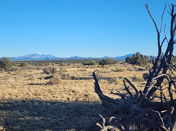 10424 W Line Cook Trl, Williams, AZ 86046