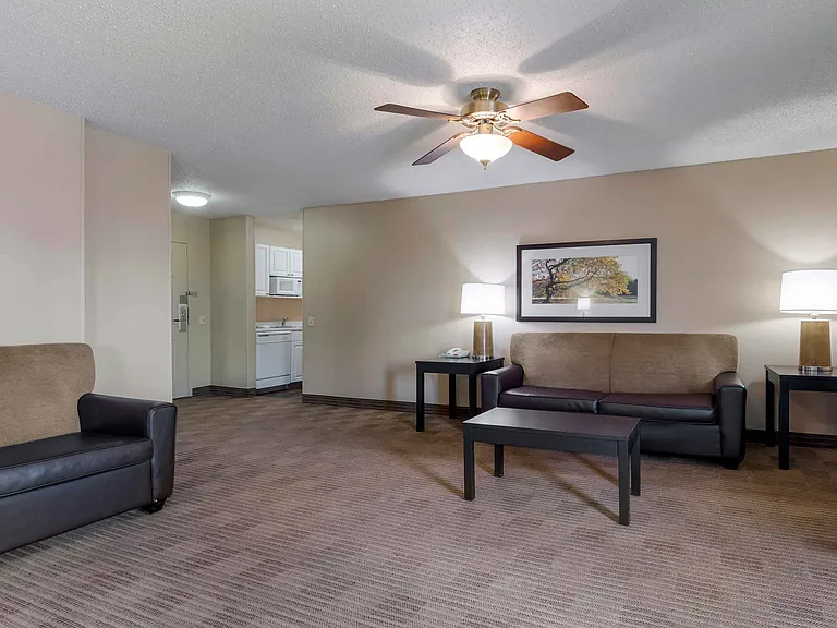 1 Bedroom Suite - 1 King Bed
