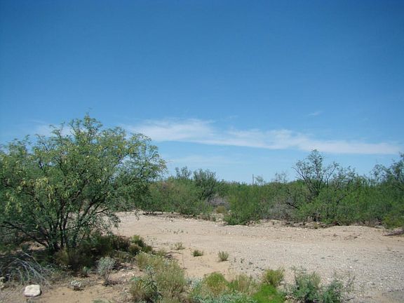 3rd image of 3905 E Farino Pl