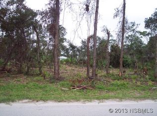 2716 Brookline Ave, New Smyrna Beach, FL 32168