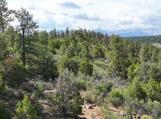 695 Wireweed Ln, Montrose, CO 81403