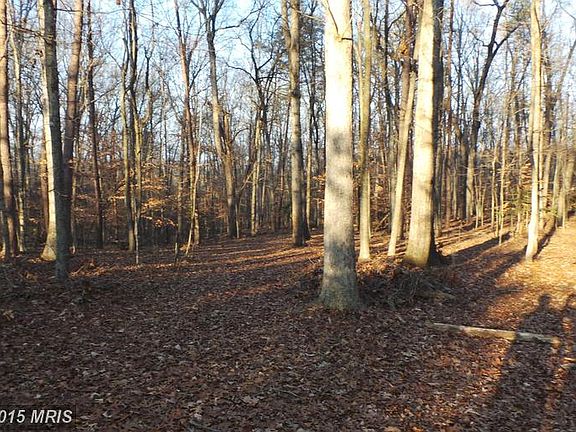 5th image of 11511 Forest Walk Dr