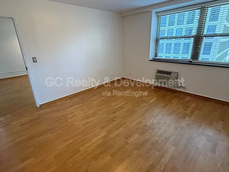 253 E Delaware Pl #19C — Photo 6