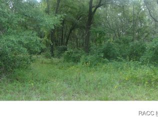 4205 S Kenvera Loop, Inverness, FL 34450