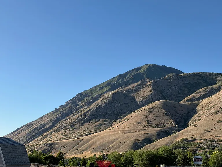 Back yard view