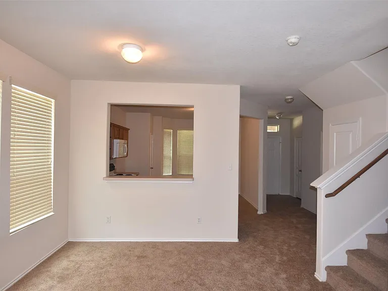 16807 Mammoth Springs Dr — Photo 18