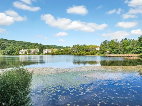 16 Lagoon Way, Ledgewood, NJ 07852