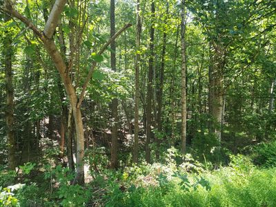 0 Knoll Woods Dr LOT 32-33-34, Rustburg, VA, 24588
