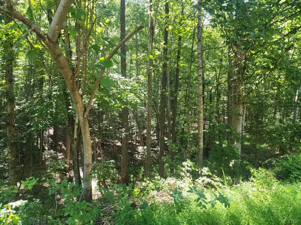 0 Knoll Woods Dr Lot 32-33-34, Rustburg, VA 24588