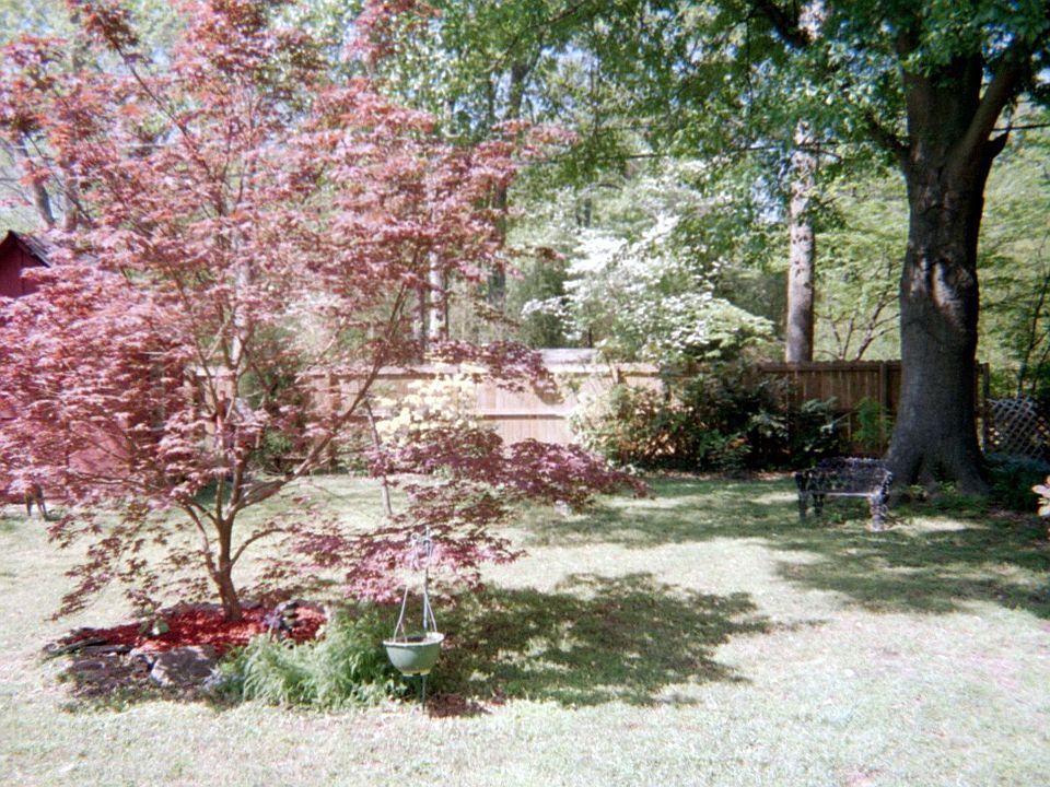 2nd image of 953 Sandra St