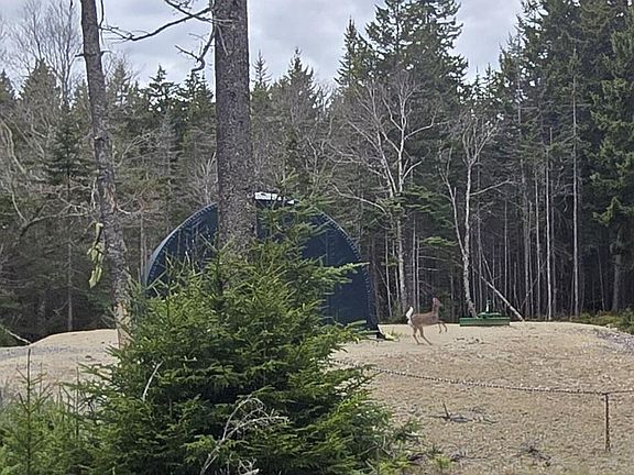 4th image of 30 Wohoa Bay Drive