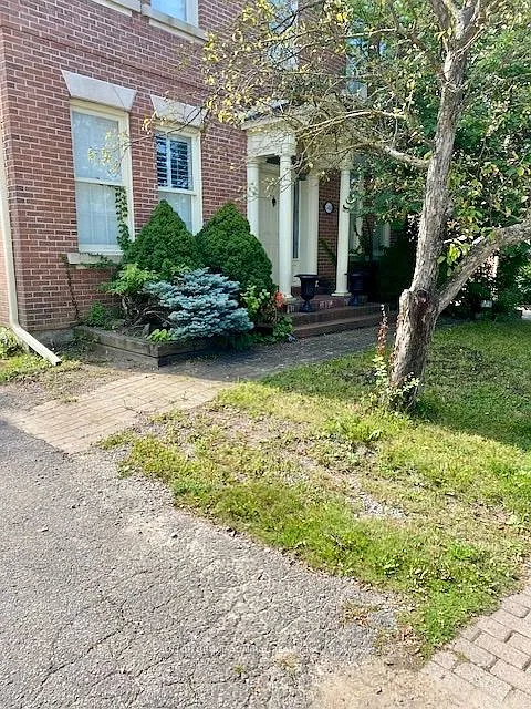 1 bed, $1,900 — Photo 4