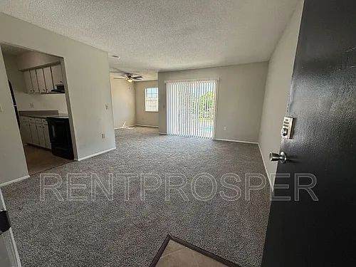 5317 Curry Ford Rd Photo 1