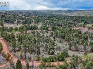 124 Shavano Cir, Florissant, CO 80816