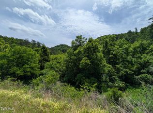 Speers Valley Rd, Duffield, VA 24244