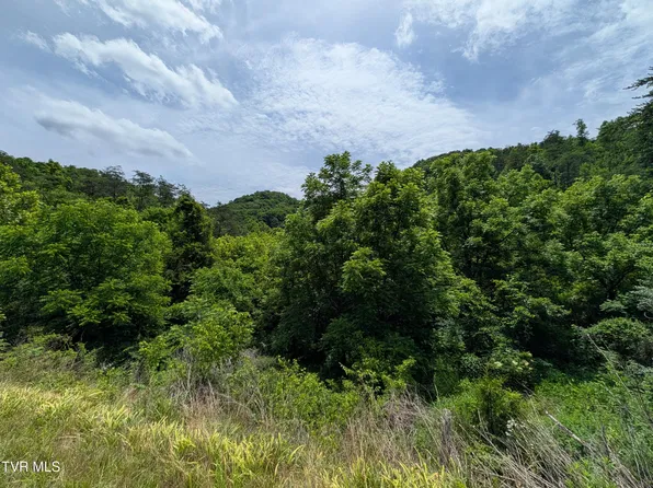 Speers Valley Rd, Duffield, VA 24244