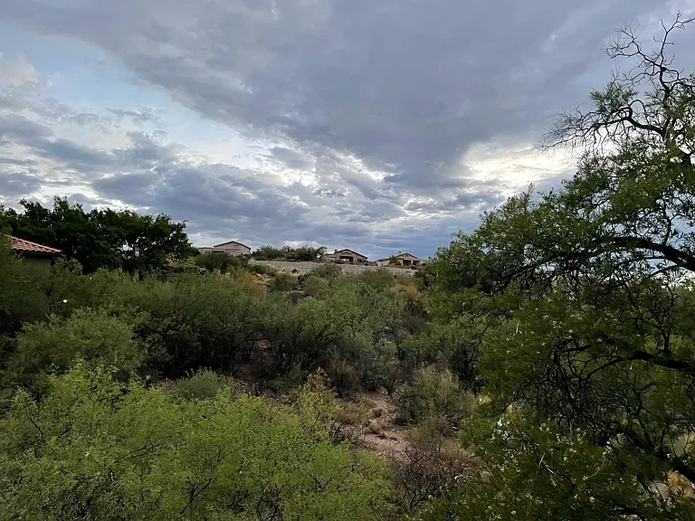 Peaceful canyon view loaded with wildlife and hummingbirds!