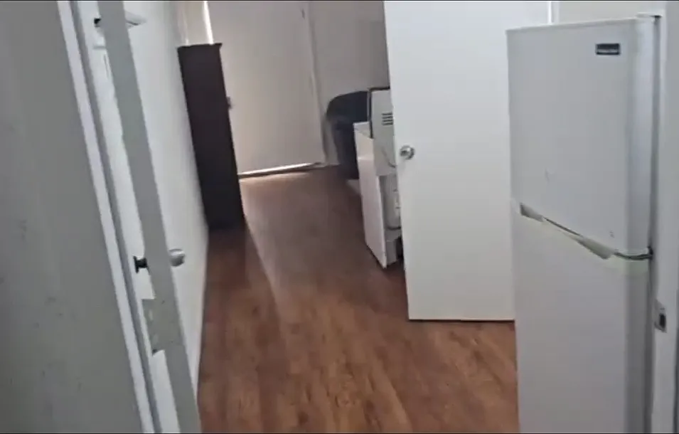 1 bed, $800 — Photo 3