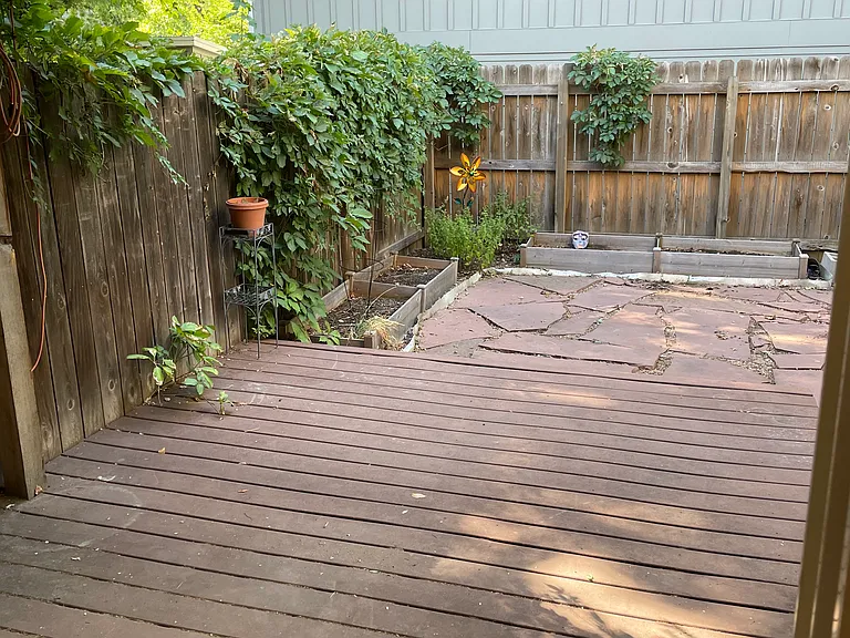 Fenced Backyard